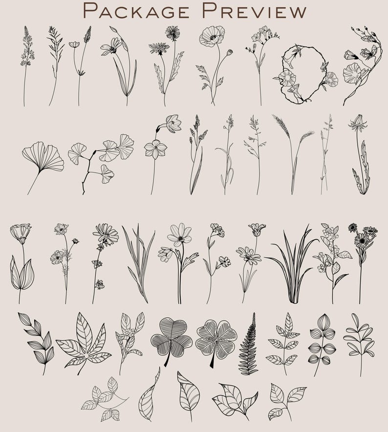 Wildflower & Birth Flower Procreate Stamps | Floral Brushes Pack ...