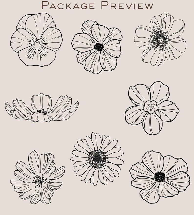 Wildflower & Birth Flower Procreate Stamps | Floral Brushes Pack ...