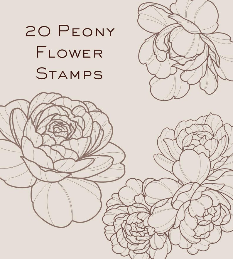 Peony Tattoo Procreate Brush Stamps, Floral Design Set (digital ...
