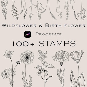 Könnte beinhalten: Digitale Procreate-Stempel mit botanischen Illustrationen von Wildblumen und Geburtsblumen. Das Bild enthält den Text "Wildflower & Birth Flower" und "100+ Stamps". Die Illustrationen sind schwarze Strichzeichnungen auf neutralem Hintergrund.