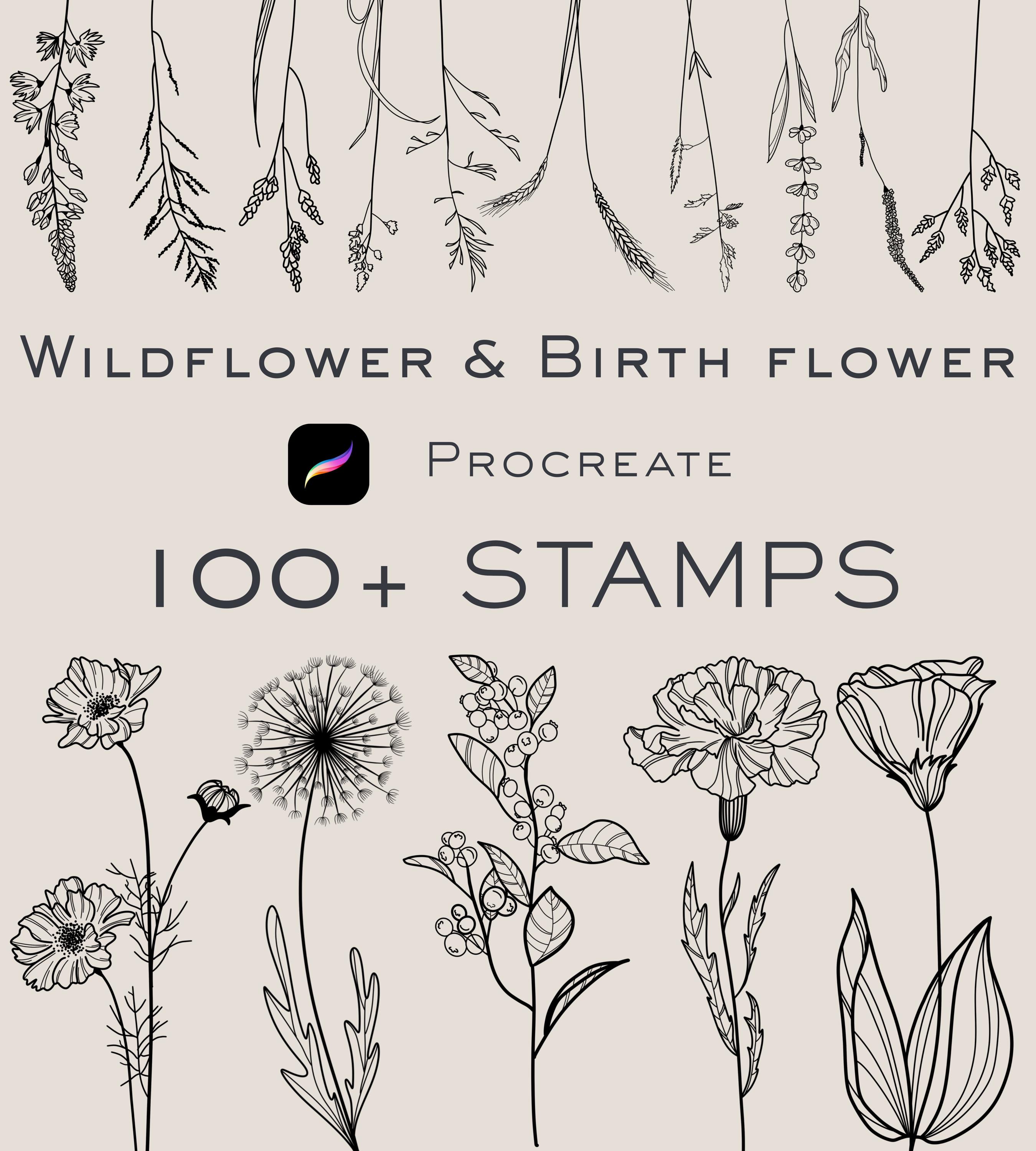 Sellos de Procreate Flores Silvestres y Flores de Nacimiento – 112 pinceles florales de línea fina para tatuajes, POD y journaling