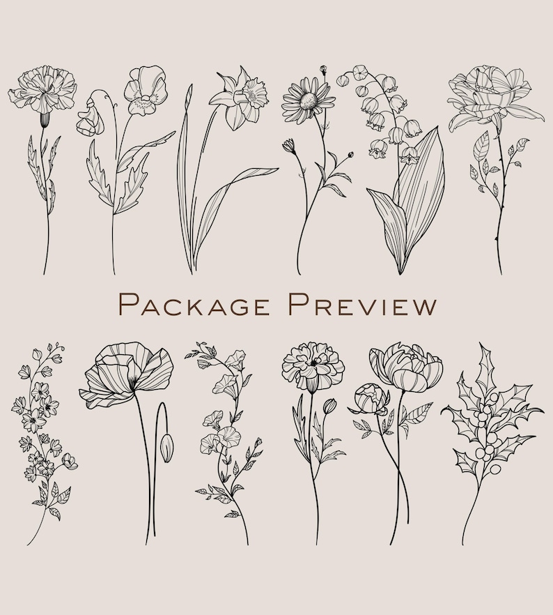 Wildflower & Birth Flower Procreate Stamps | Floral Brushes Pack ...