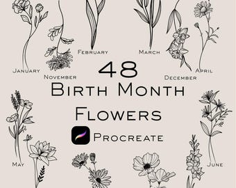 Birth Flower Procreate Stamps | Flower | Zodiac Brushes | Floral | Birth Month Flower | Wedding | Astrology | August Birthflower | Tattoo
