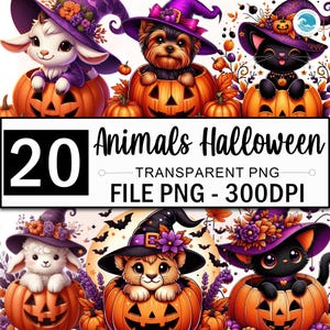 Halloween Clipart Bundle, Halloween Animals In Pumpkin Png Clipart, Cute Halloween Clipart, Baby Animal Png, Animal Clipart, 20 Design Png
