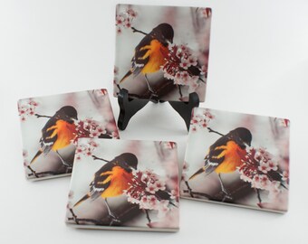 Sandstone Coasters - Set of 4 - Oriole and Plum Blossom