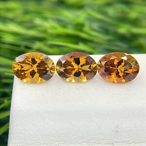 Champagne Colour Natural Tourmaline 7x5 mm Oval Cut Faceted Loose Gemstone , 3 pices , Weight-2.43 Cts , Rare Colour Tourmaline #231