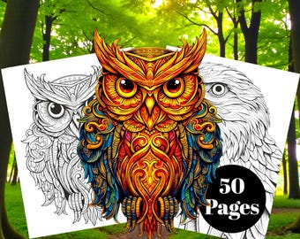 May include: A vibrant owl coloring book with a detailed, colorful owl illustration on the cover. The cover art features a detailed owl design in shades of orange, yellow, blue, and red. The book includes 50 pages for coloring.