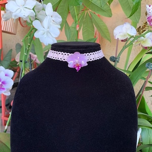 Handmade Orchid Choker – Real Preserved Orchid on Pink Lace Ribbon – Fairycore Cottagecore Floral Necklace