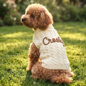Personalisierter Hundepullover mit individuellem Namen, handbestickter Welpenpullover, kuschelige Strickkleidung für Haustiere, Geschenk für kleine Hunde, Geschenk für Hundebesitzerinnen, Geburtstagsgeschenk für Haustiere