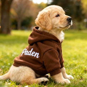 Personalized Dog Hoodie: Embroidered Pet Name, Bright Puppy Sweatshirt