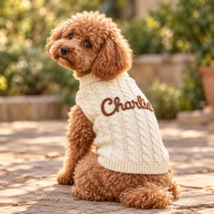 May include: A small, curly-haired brown dog wearing a cream-coloured cable knit sweater. The sweater features a ribbed collar and hem, with the name Charlie embroidered in brown cursive script across the back of the garment.