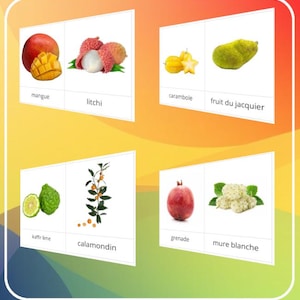 Montessori - Carte de nomenclature de 47 fruits d'Asie / Script et cursif