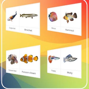 Montessori - Carte de nomenclature de 91 variétés de poissons / Script et cursif