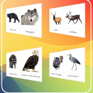 Montessori - Carte de nomenclature de 34 animaux d'Amérique du Nord / Script et cursif