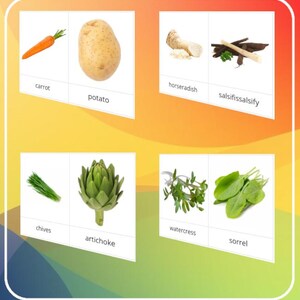 May include: A colorful educational card featuring various vegetables and herbs. The image includes a carrot, potato, horseradish, salsify, chives, artichoke, watercress, and sorrel. Each item is labeled with its name in a white box.