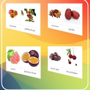 Peut inclure: Image colorée présentant divers fruits. L'image comprend du tamarillo, des grains de café, du tamarin, de la jujube, de la goyave, du fruit de la passion, des dattes du désert et de la caroube. Chaque fruit est affiché avec son nom sur une carte blanche, sur un fond dégradé.