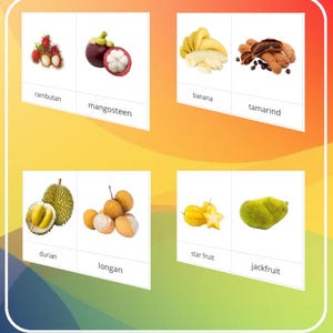 Peut inclure: Un ensemble de cartes éducatives colorées présentant des fruits tropicaux. Les cartes montrent le ramboutan, la mangouste, la banane, le tamarin, le durian, le longane, le carambole et le jacquier, avec leurs noms.