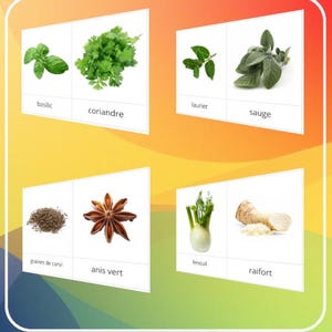 Montessori - Carte de nomenclature de 35 variétés d'aromates / Script et cursif