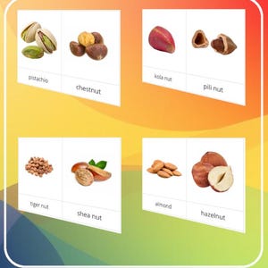 Peut inclure: Cartes éducatives présentant différents types de noix. Les cartes affichent des images de pistaches, de châtaignes, de noix de kola, de noix de pili, de souchets, de noix de karité, d'amandes et de noisettes. Le nom de chaque noix est indiqué sous l'image.