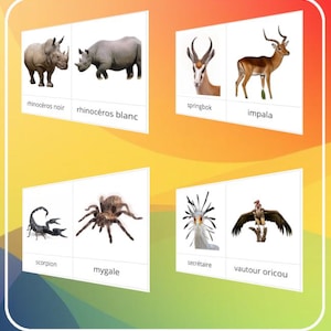 Montessori - Nomenclatuurkaart met 44 Afrikaanse dieren / Schrift en cursief