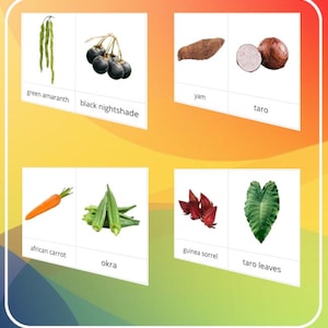 May include: A vibrant image showcasing diverse vegetables and plants, such as green amaranth, black nightshade, yam, taro, African carrot, okra, guinea sorrel, and taro leaves. Each item is labelled with its name on a white card.