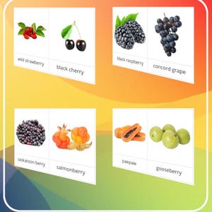 Peut inclure: Image colorée présentant des cartes avec divers fruits. Les cartes affichent des images de fraises des bois, de cerises noires, de mûres, de raisins Concord, de baies de Saskatoon, de chicouté, de papaye et de groseilles à maquereau. Chaque carte porte le nom du fruit.