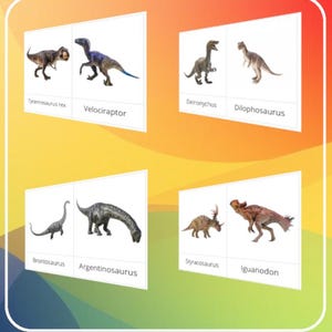 Montessori - Carte de nomenclature de 30 types de dinosaures / Script et cursif