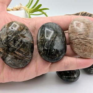 May include: Four smooth, oval-shaped stones with a variety of patterns and colors. The stones are black, brown, and gray with white and light brown accents.