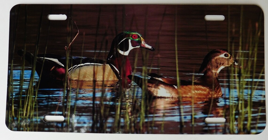 Wood Ducks Color Metal License Plate Duck Hunter Gift Car Etsy