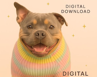 Maddie’s Magic Affirmation Bundle – Digital Download