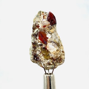 Puede incluir: Un espécimen mineral natural en bruto que presenta una mezcla de colores y texturas. La piedra tiene una matriz beige rugosa con cristales incrustados y una prominente formación de cristal rojo oscuro. Montado sobre un soporte metálico plateado.