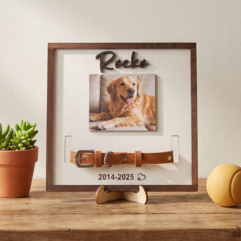 Pu&ograve; includere: Una cornice commemorativa per animali domestici con una foto di un golden retriever, un collare in pelle marrone e il nome "Rocks". La cornice include gli anni 2014-2025 e un'impronta di zampa.