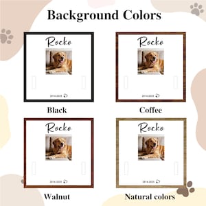 Pu&ograve; includere: Foto incorniciata di un cane golden retriever di nome Rocko, disponibile in cornici nere, caff&egrave;, noce e colori naturali. La foto include il testo "2014-2025".