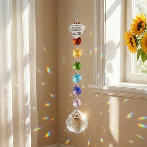 May include: A crystal suncatcher, with a heart-shaped charm inscribed with "LOOK FOR ME IN THE RAINBOWS" and a paw print. It has a series of coloured crystal beads and a large faceted crystal ball at the bottom, creating rainbow light patterns.