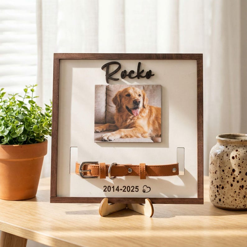 Pu&ograve; includere: Cornice commemorativa in legno per animali domestici con foto di un golden retriever. La cornice include il nome "Rocko", un collare in pelle e gli anni 2014-2025. La cornice &egrave; esposta su un supporto in legno.