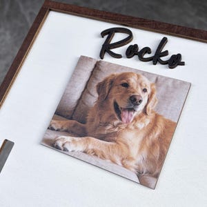 Pu&ograve; includere: Una foto incorniciata di un cane Golden Retriever. Il cane &egrave; sdraiato con la lingua di fuori. Sopra la foto, il nome "Rocko" &egrave; scritto con lettere di legno nere. La cornice &egrave; marrone scuro e lo sfondo &egrave; bianco.