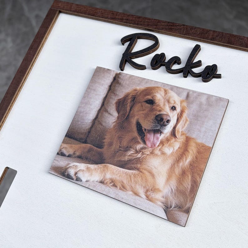 Pu&ograve; includere: Una foto incorniciata di un cane Golden Retriever. Il cane &egrave; sdraiato con la lingua di fuori. Sopra la foto, il nome "Rocko" &egrave; scritto con lettere di legno nere. La cornice &egrave; marrone scuro e lo sfondo &egrave; bianco.