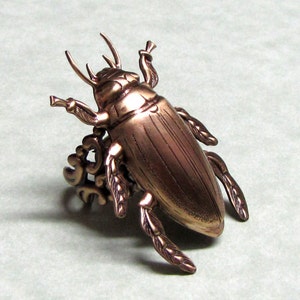 Horn Beetle Ring Band