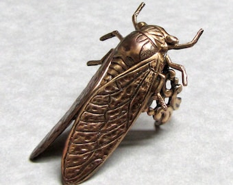 Forest Cicada RIng