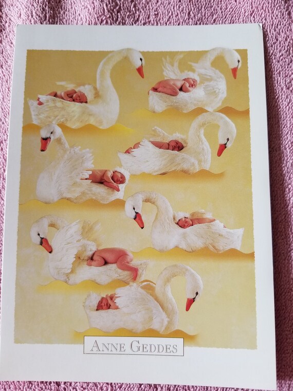 Anne Geddes Swans New Baby Card Etsy