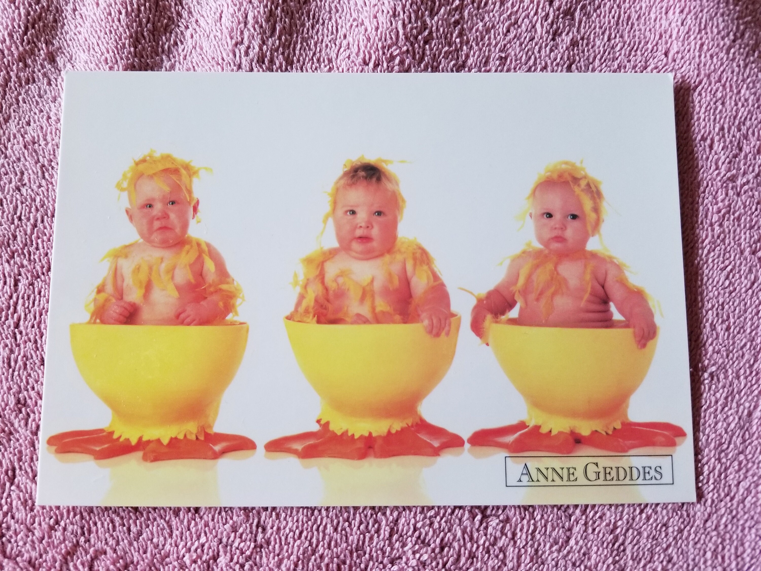 Anne Geddes Chicks and Ducks Three Postcard Assortment - Etsy, image size:3000x2250
