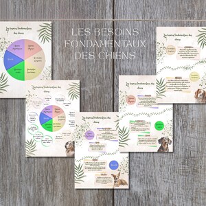 Könnte beinhalten: Eine Sammlung von Lehrplakaten mit dem Titel "LES BESOINS FONDAMENTAUX DES CHIENS" (Die Grundbedürfnisse von Hunden). Die Plakate zeigen Diagramme, Text und Bilder von Hunden, mit einer neutralen Farbpalette und botanischen Akzenten.