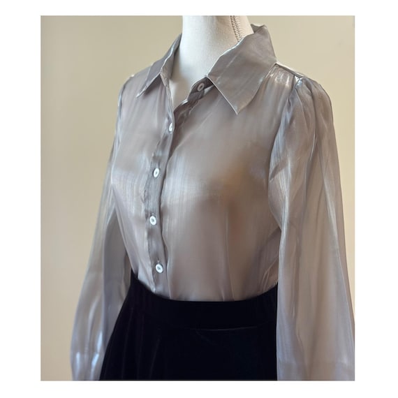 Sheer Shiny Blouse Puff Sleeve See-through Top for Women