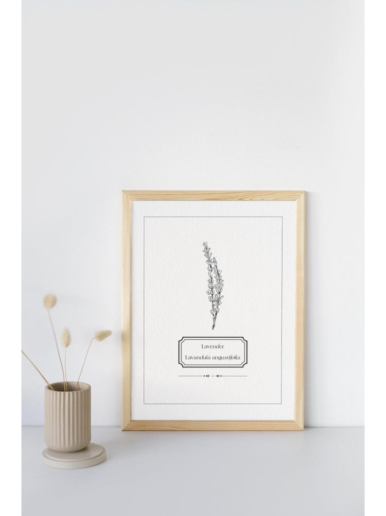May include: A framed print featuring a black and white botanical illustration of lavender. The print includes the word "Lavender" and the scientific name "Lavandula angustifolia". The frame is light brown.