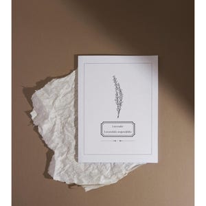 May include: A white card with a detailed black and white illustration of lavender, with the text "Lavender Lavandula angustifolia". The card rests on a piece of textured white paper, set against a brown background.