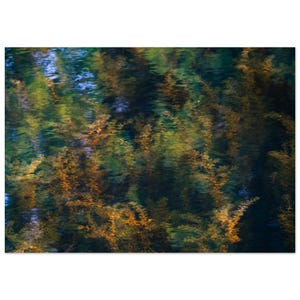 Aquatic Botanical Print – Abstract Nature Photography – Botanical Wall Art by Ben Millett