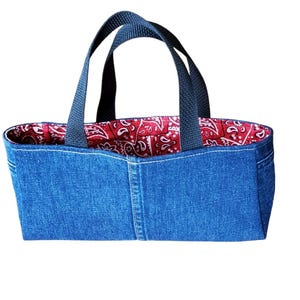 Egg Carton Tote Bag - Holds 12 Eggs  (READY TO SHIP) - Jean with red bandana