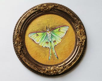 Handmade Luna Moth Painting, Bronze Frame, Miniature Insect Wall Art
