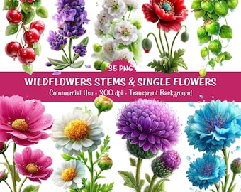 Wildblumen Stängel und einzelne Blumen Clipart | Wilde Blume PNG Transparent | Sofort Download, Kommerzielle Nutzung
