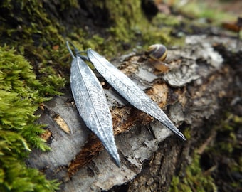 Salix alba - Bastyr Willow - Real Leaf Artisan Pure Silver Earrings  by Quintessential Arts